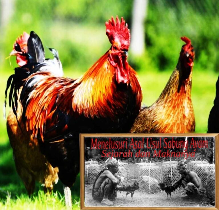 Menelusuri Asal Usul Sabung Ayam: Sejarah dan Maknanya